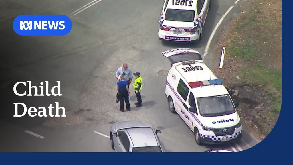 Boy dies in Queensland police station after crash at Ormeau | ABC NEWS ...