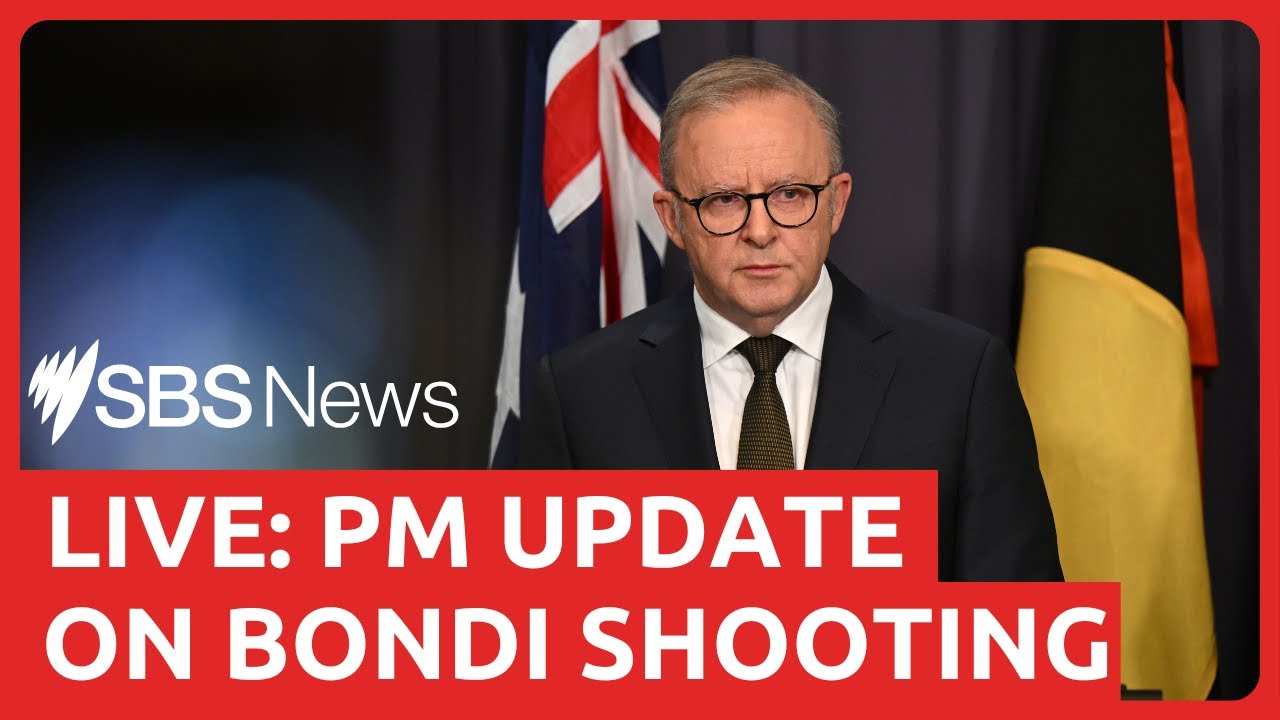 PM Anthony Albanese is live with a Bondi Beach shooting update | SBS ...