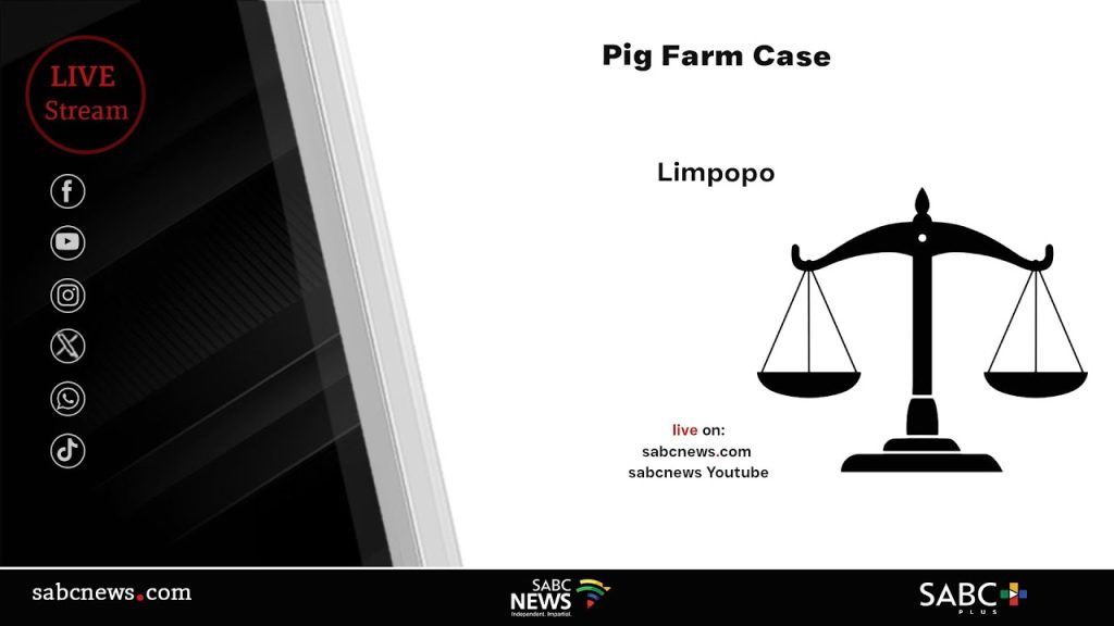 Limpopo pig farmer murder trial continues – The Front Page News
