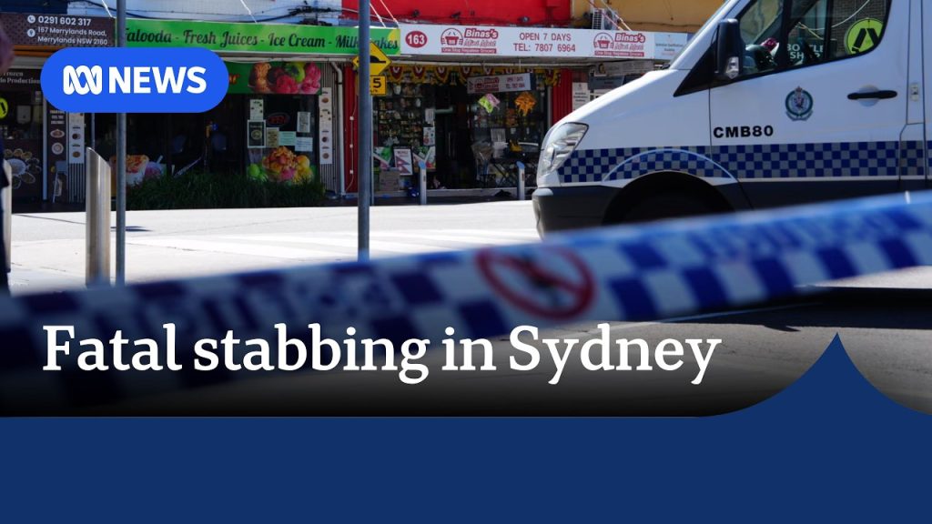 Man arrested after ‘random’ stabbing spree on Western Sydney street ...