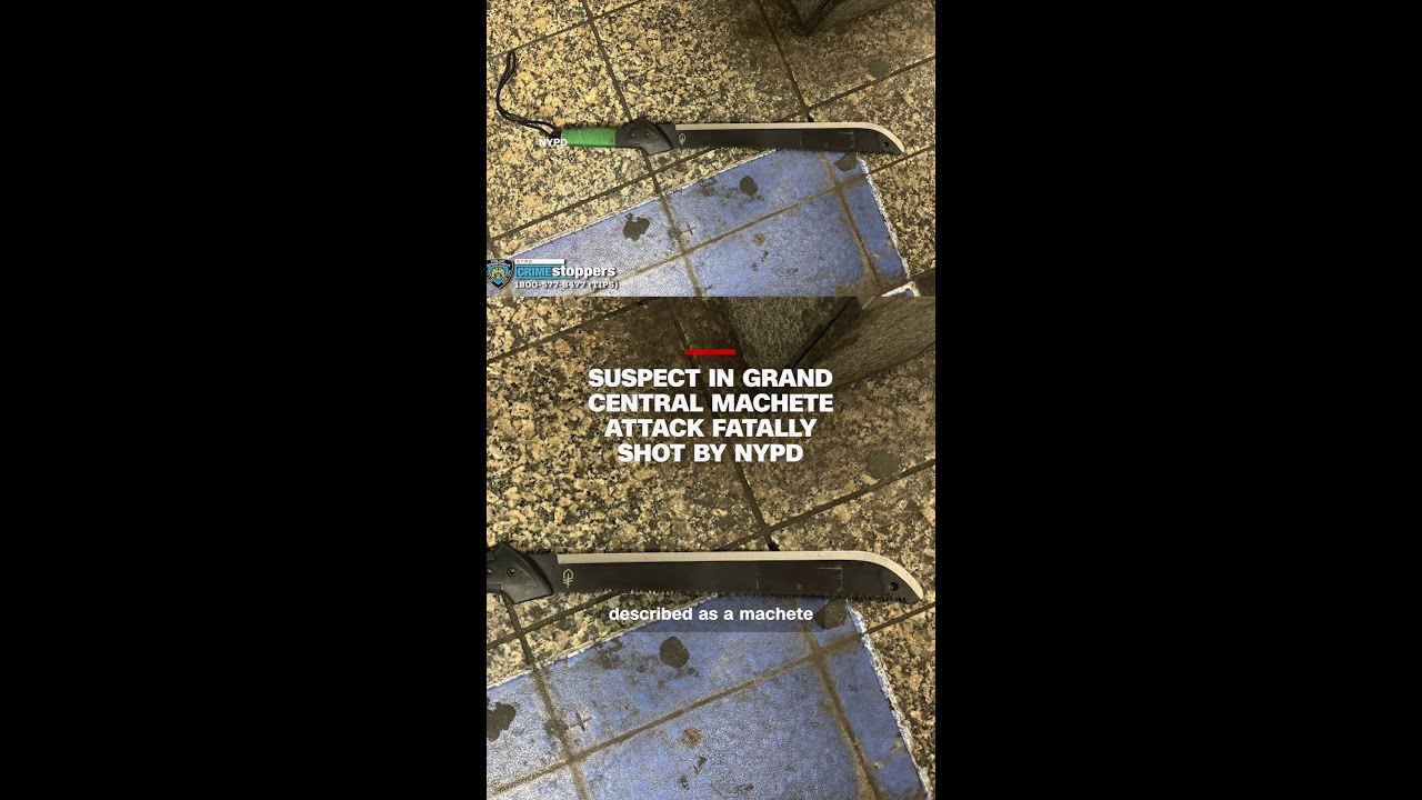 Suspect in Grand Central machete attack fatally shot by NYPD – The ...